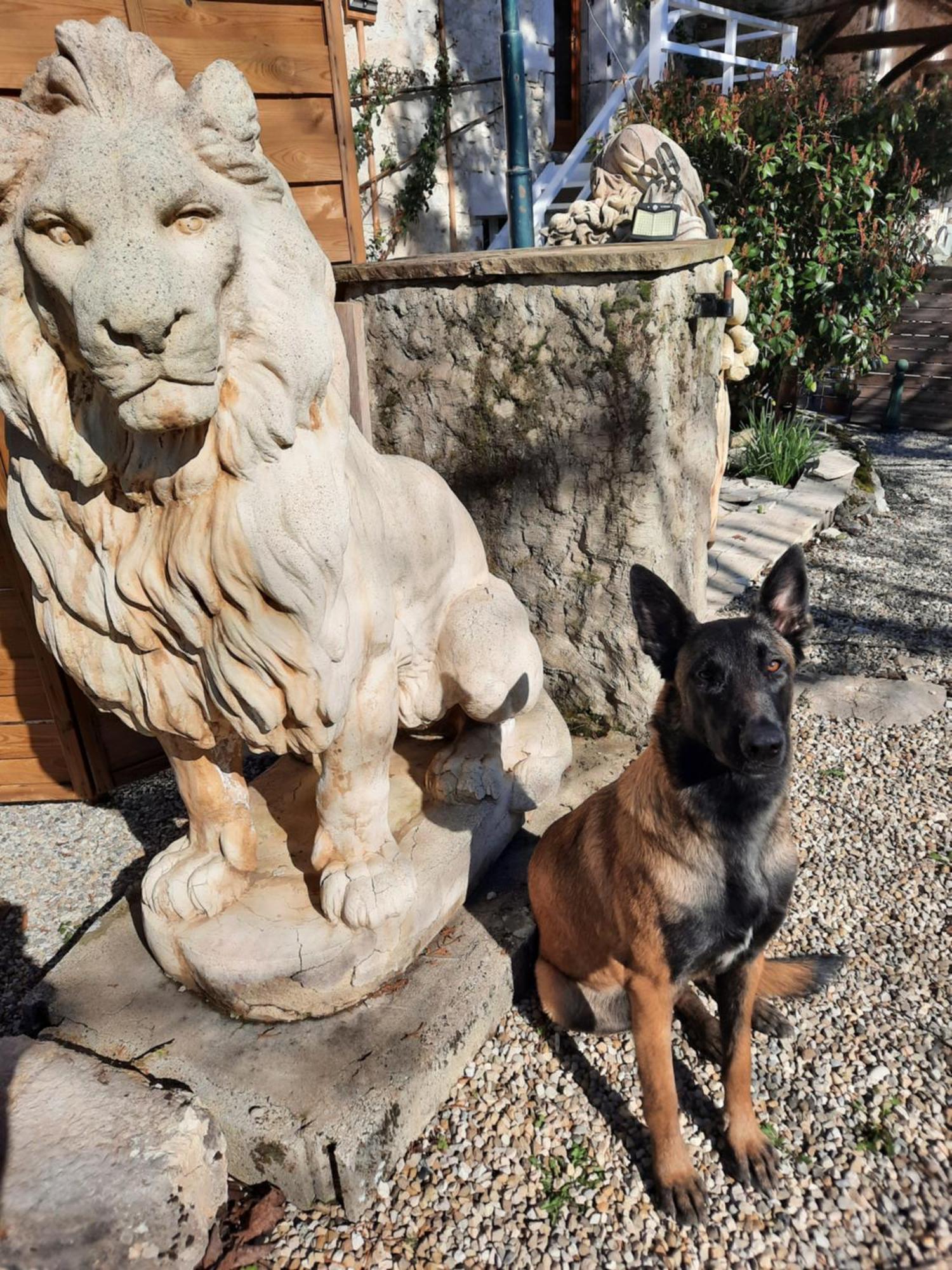 Gite Des 2 Lions Murs-et-Gelignieux Luaran gambar